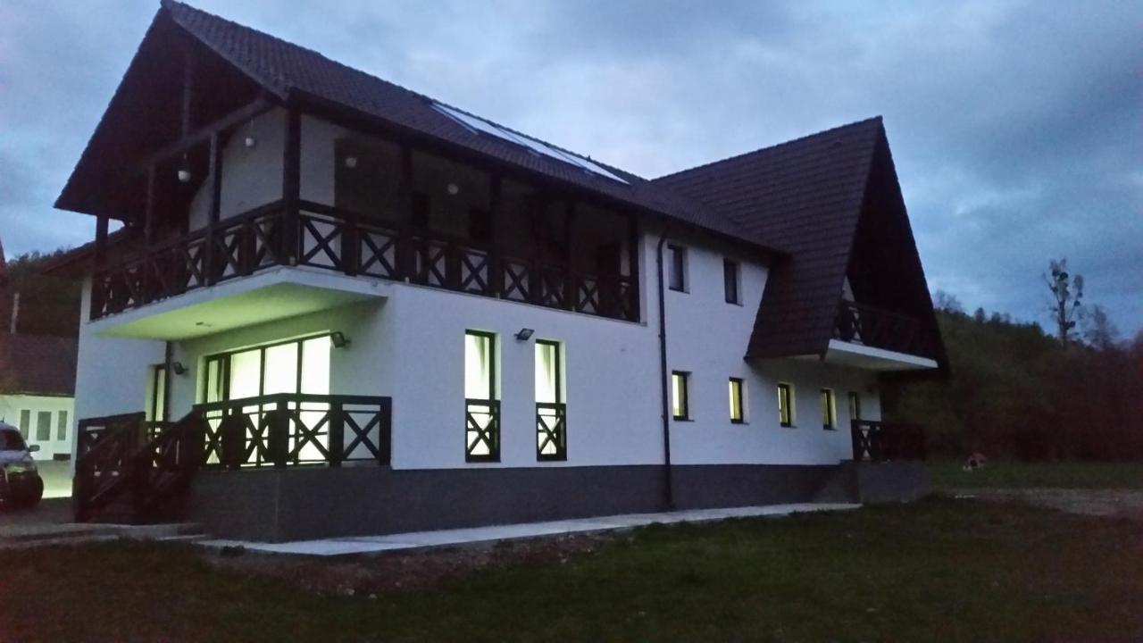 Pensiunea Steaua Nordului Vanatori (Salaj) Exterior foto