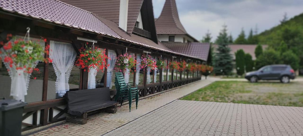 Pensiunea Steaua Nordului Vanatori (Salaj) Exterior foto