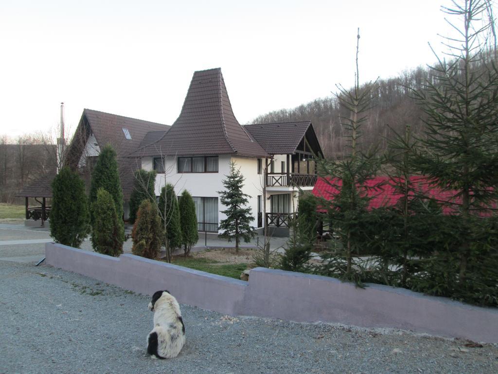 Pensiunea Steaua Nordului Vanatori (Salaj) Exterior foto