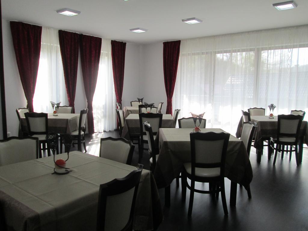 Pensiunea Steaua Nordului Vanatori (Salaj) Exterior foto