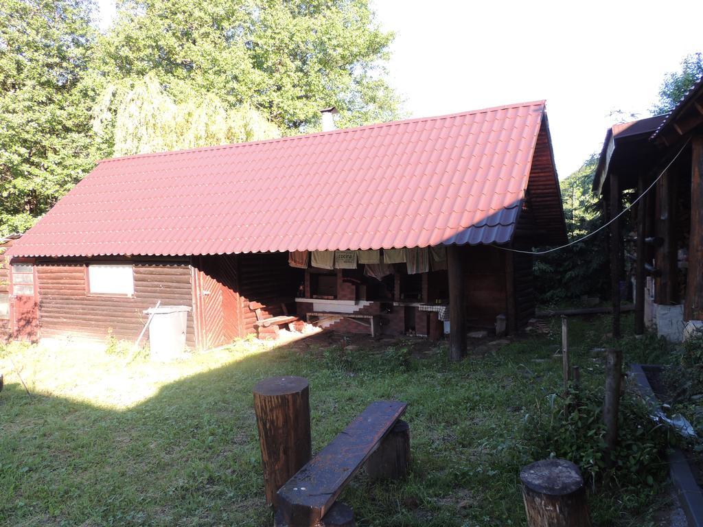 Pensiunea Steaua Nordului Vanatori (Salaj) Exterior foto