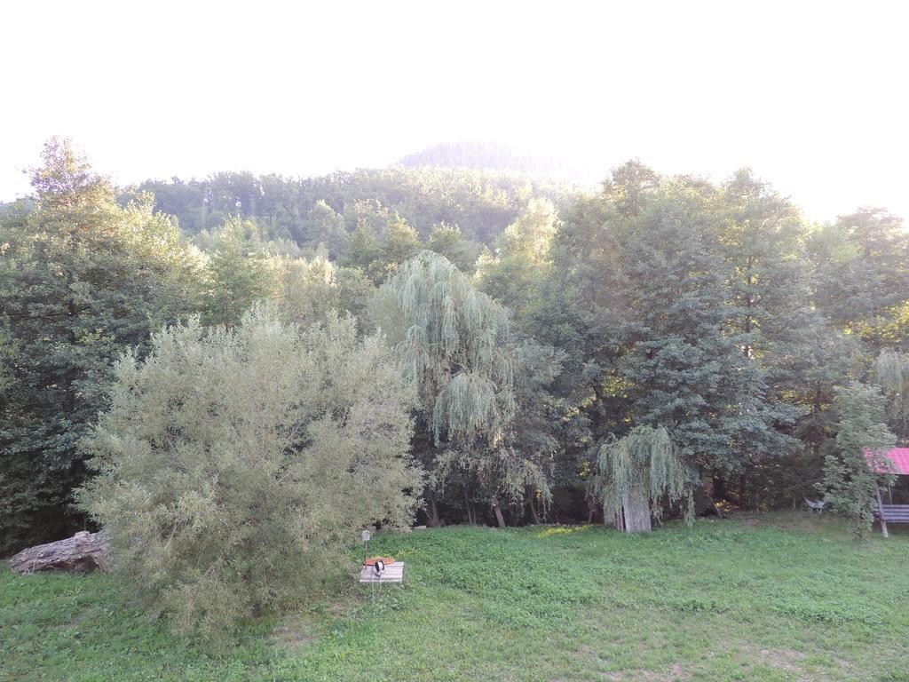 Pensiunea Steaua Nordului Vanatori (Salaj) Exterior foto