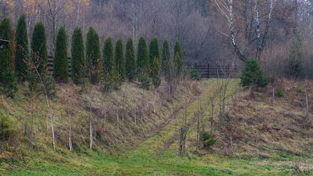 Pensiunea Steaua Nordului Vanatori (Salaj) Exterior foto