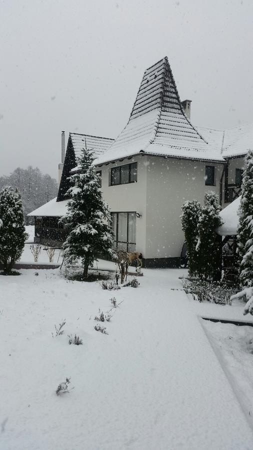 Pensiunea Steaua Nordului Vanatori (Salaj) Exterior foto