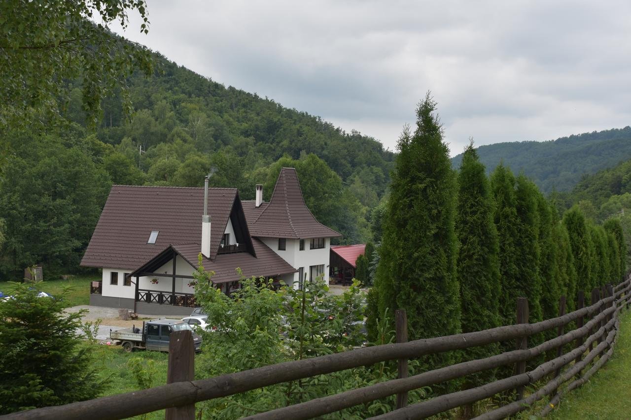 Pensiunea Steaua Nordului Vanatori (Salaj) Exterior foto