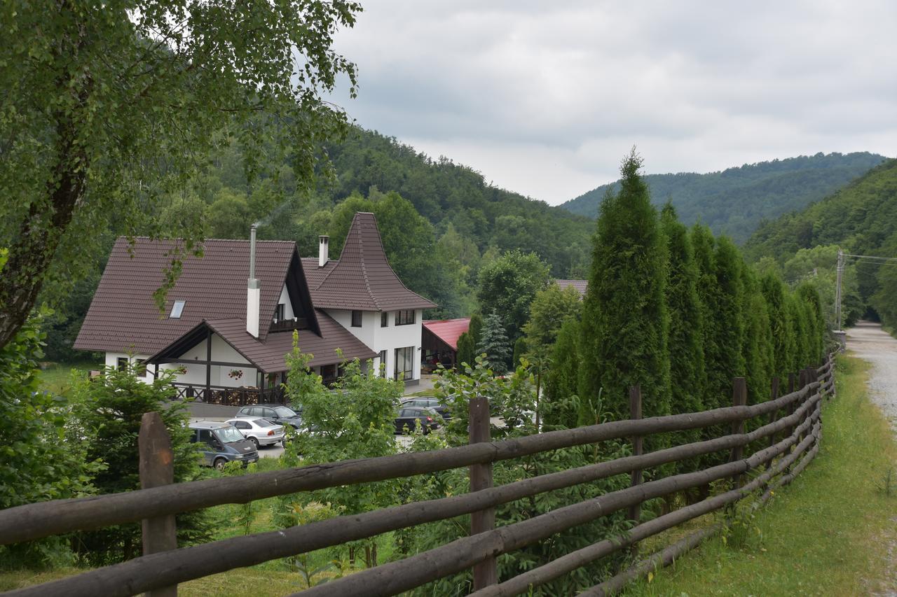 Pensiunea Steaua Nordului Vanatori (Salaj) Exterior foto