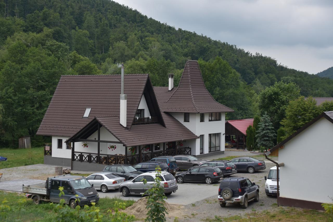 Pensiunea Steaua Nordului Vanatori (Salaj) Exterior foto