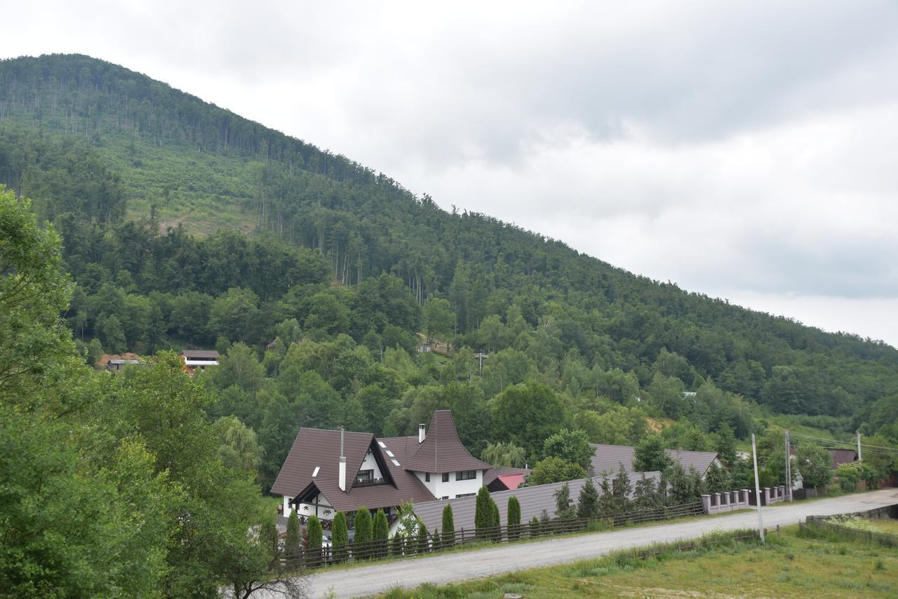 Pensiunea Steaua Nordului Vanatori (Salaj) Exterior foto