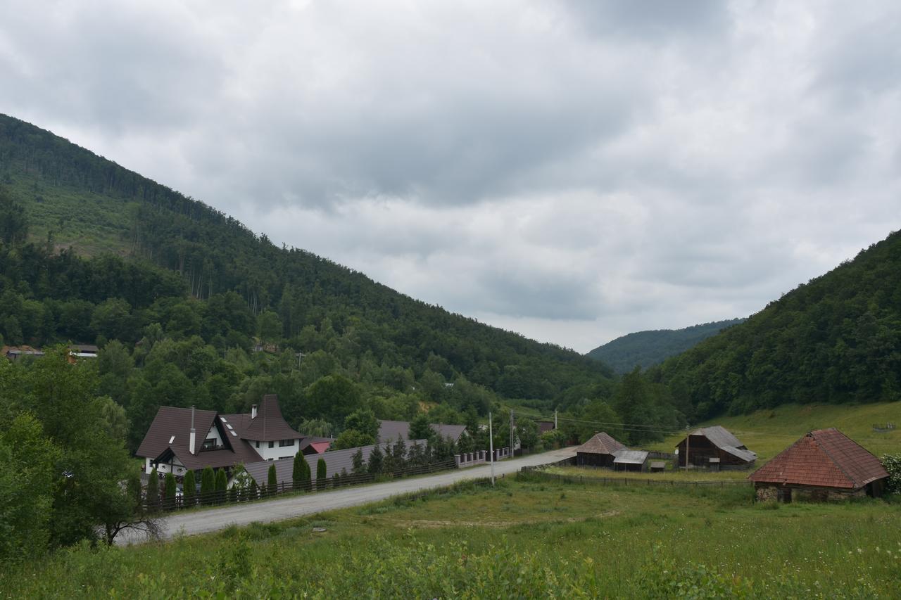 Pensiunea Steaua Nordului Vanatori (Salaj) Exterior foto